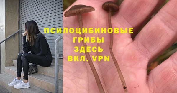 крисы Вяземский
