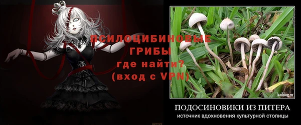 крисы Вяземский